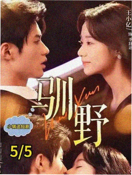 合租日志轻喜剧电视剧在线看